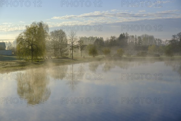 Morning atmosphere, fog at the Fischhof, Tirschenreuth, Upper Palatinate, Bavaria, Germany