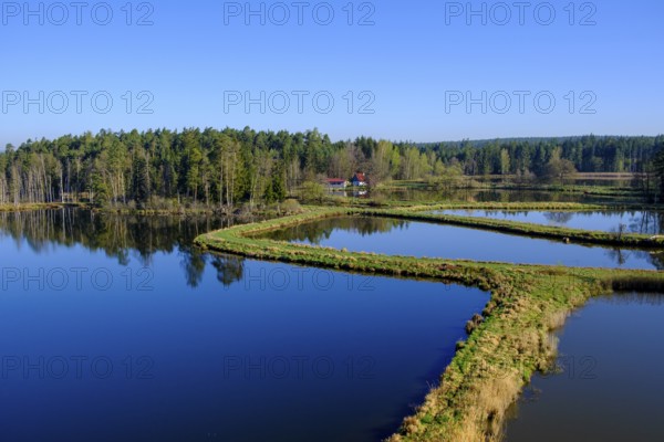 Tirschenreuther Teiche, Waldnaabaue, Große Teichpfanne, Vizinalradweg, near Tirschenreuth, Upper Palatinate, Bavaria, Germany
