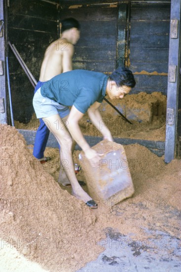 Unpacking ice stored in sand at fish market, East coast, Mersing, Johor, Malaya, Malaysia, south east Asia 1964