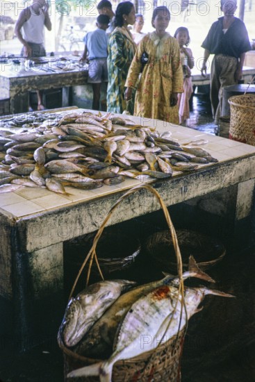 Fish for sale at retail fish market, East coast, Mersing, Johor, Malaya, Malaysia, south east Asia 1964