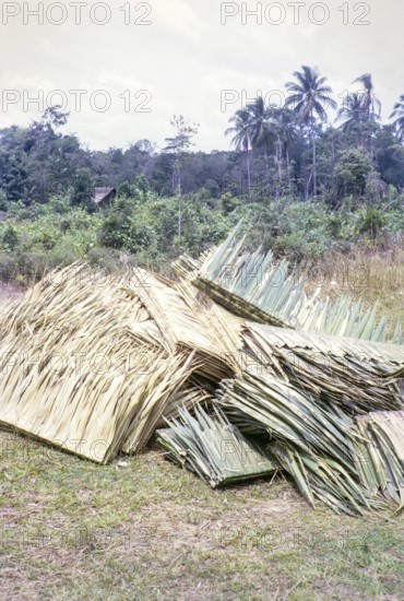 Attap leaves made up for roof and hut building, East Coast, Malaya, Malaysia, south east Asia 1964