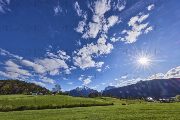 Landscape photography, mountain landscape, mountain Watzmann, Hochkalter, mountains, meadow, coniferous forest, trees, backlight of the sun, blue sky, cumulus clouds, Bischofswiesen, district Berchtesgadener Land, Bavaria, Germany