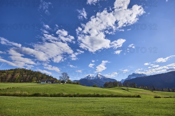 Landscape photography, mountain landscape, mountain Watzmann, Hochkalter, mountains, meadow, coniferous forest, trees, blue sky, cumulus clouds, Bischofswiesen, district Berchtesgadener Land, Bavaria, Germany