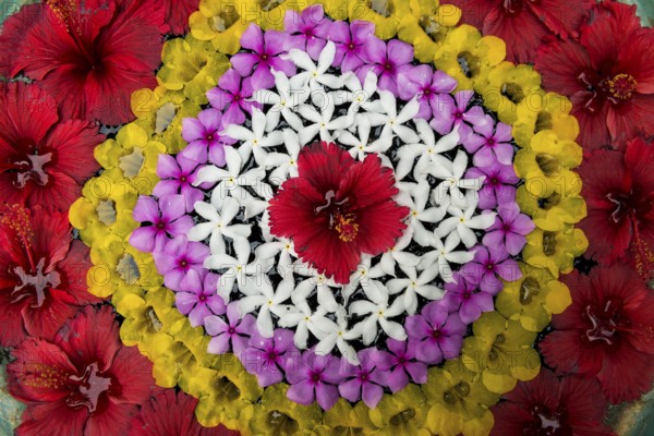 Flower decoration made of blossoms in a luxury resort, Klong Khong Beach, Sala Dan, Ko Lanta, Koh Lanta, Krabi Province, Southern Thailand, Andaman Sea, Thailand