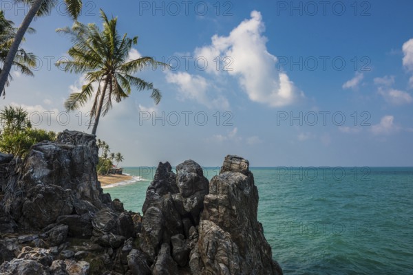 Rocks and coconut palms, Coconut Palm Beach, Sala Dan, Ko Lanta, Koh Lanta, Krabi Province, Southern Thailand, Andaman Sea, Thailand