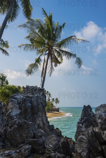 Rocks and coconut palms, Coconut Palm Beach, Sala Dan, Ko Lanta, Koh Lanta, Krabi Province, Southern Thailand, Andaman Sea, Thailand