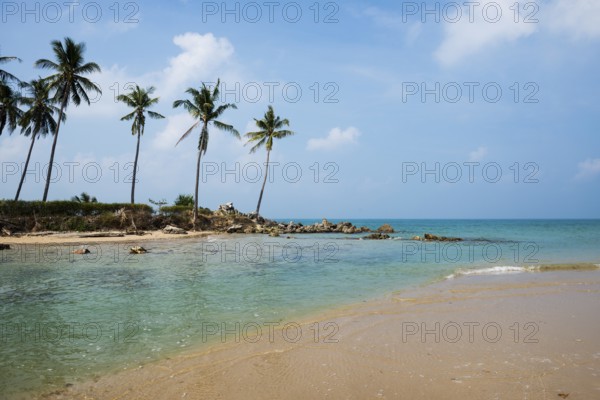 Sandy beach beach and coconut palms, Klong Khong Beach, Sala Dan, Ko Lanta, Koh Lanta, Krabi Province, Southern Thailand, Andaman Sea, Thailand