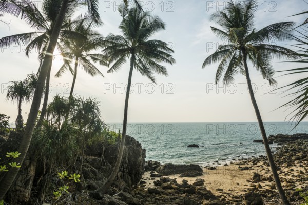 Sandy beach beach and coconut palms, Tricky-Trocky Beach, Sala Dan, Ko Lanta, Koh Lanta, Krabi Province, Southern Thailand, Andaman Sea, Thailand
