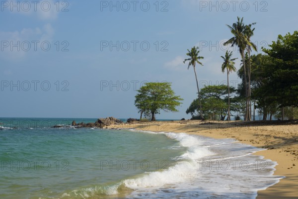 Sandy beach beach and coconut palms, Secret Beach, Sala Dan, Ko Lanta, Koh Lanta, Krabi Province, Southern Thailand, Andaman Sea, Thailand