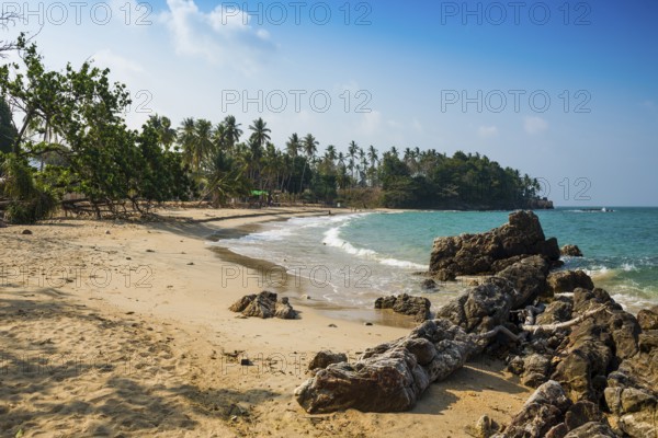 Sandy beach beach and coconut palms, Beautiful Beach, Sala Dan, Ko Lanta, Koh Lanta, Krabi Province, Southern Thailand, Andaman Sea, Thailand