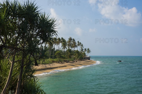 Sandy beach beach and coconut palms, Coconut Palm Beach, Sala Dan, Ko Lanta, Koh Lanta, Krabi Province, Southern Thailand, Andaman Sea, Thailand