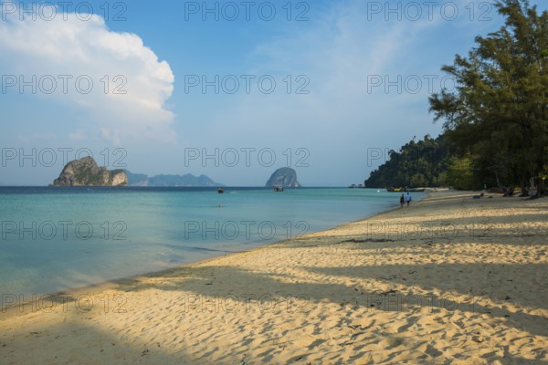 White sandy beach and coconut palms, Sunrise Beach, Koh Great white shark, Ko Ngai, Krabi Province, Trang, Southern Thailand, Andaman Sea, Thailand