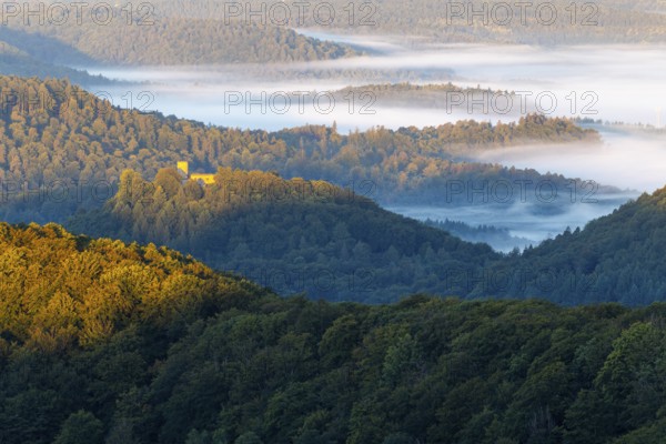 View over the Palatinate Forest, mixed forest, dawn, fog, Luipoldsturm, Hermansbergdorf, Pfläzerwald, Rhineland-Palatinate, Germany