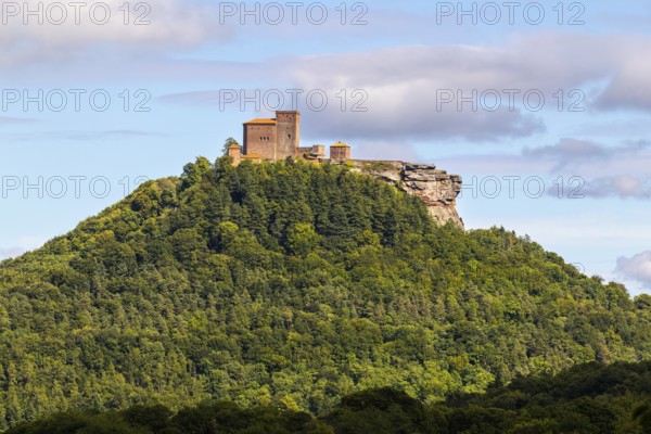 Brug Trifels, Annweiler, mixed forest, sandstone rock, Pfläzerwald, Rhineland-Palatinate, Germany
