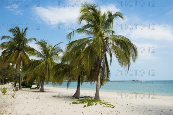 White sandy beach and coconut palms, Pearl Beach, Koh Mook, Trang Province, Southern Thailand, Andaman Sea, Thailand