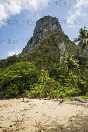 White sandy beach and coconut palms, Sabai Beach, Koh Mook, Trang Province, Southern Thailand, Andaman Sea, Thailand