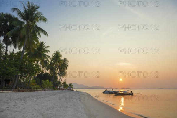 White sandy beach and coconut palms, sunset, Pearl Beach, Koh Mook, Trang Province, Southern Thailand, Andaman Sea, Thailand