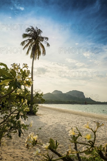White sandy beach and coconut palms, sunset, Pearl Beach, Koh Mook, Trang Province, Southern Thailand, Andaman Sea, Thailand