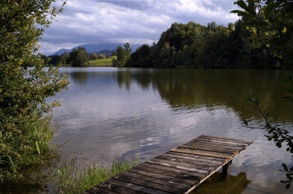 Bathing jetty, jetty, wooden jetty, jetty, leads into a lake, bathing lake, Schwaltenweiher near Seeg, Allgäu Alps, East Allgäu, Allgäu, Swabia, Bavaria, Germany