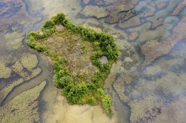 Aerial view, islands in the Drau, river, Brenndorf bird sanctuary, Carinthia, Austria