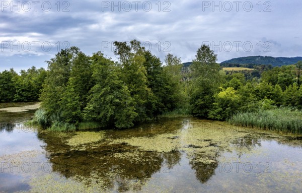 Brenndorf bird sanctuary, Drau riverbank, river, Carinthia, Austria