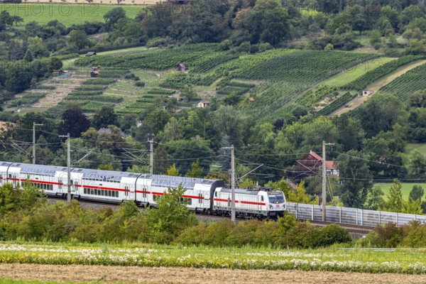 Enztal bridge with InterCity. Double-track railway overpass of the high-speed line from Mannheim to Stuttgart with a length of 1044 metres // 24.08.2025: Vaihingen an der Enz, Baden-Württemberg, Germany