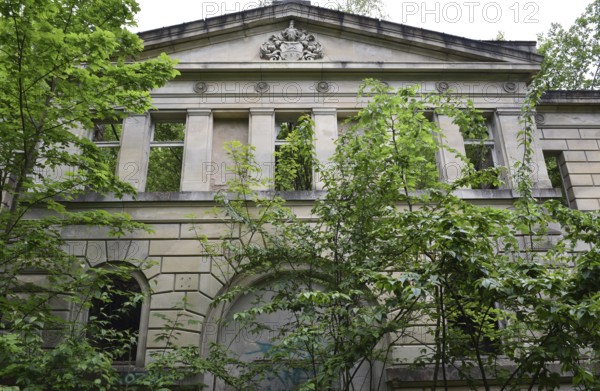 Ruin, castle ruin of Dwasieden Castle on Rügen, Mecklenburg-Western Pomerania, Germany