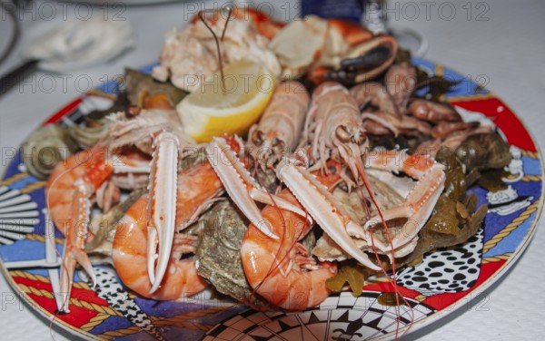 Seafood platter, Tréguier, Département Côtes-d'Armor, Brittany, France