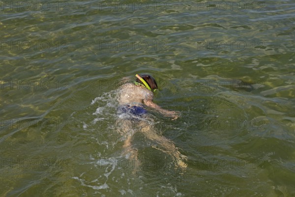 Little boy snorkelling in the sea, Kiel Fjord, Falckenstein, Kiel, Schleswig-Holstein, Germany