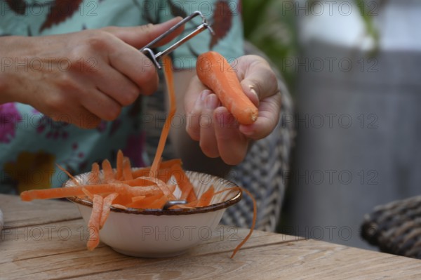 Fresh carrots are peeled, Bavaria, Germany