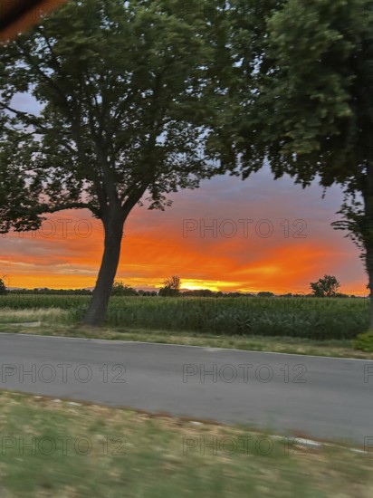 Sunset over the Vosges in Alsace, photographed from a moving car, Freiburg Baden-Württemberg, Germany
