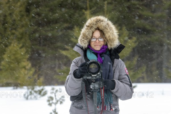 Photographer Veronique Amiard photographs the forest landscape in winter, light snowfall, Gaspesie national park, Province of Quebec, Canada, North America