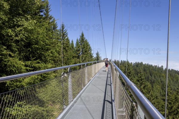 Wildline Bad Wildbad: The pedestrian suspension bridge is 380 metres long and 60 metres high. It was opened as a tourist attraction in 2018