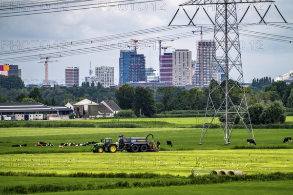 The skyline of the business district in the south-east of Amsterdam, office tower blocks, green landscape in front, cattle pasture, agriculture, high-voltage power line, seen from the Amsterdam-Rijn canal, near Nigtevecht, Netherlands