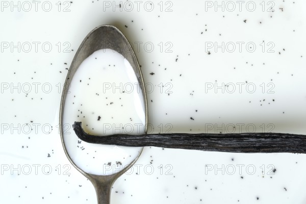 Spoon with vanilla pod, vanilla seeds in milk