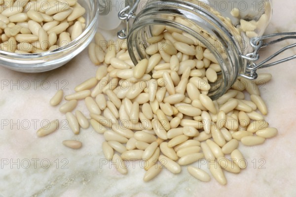 Pine nuts in glass containers, Pinus pinea
