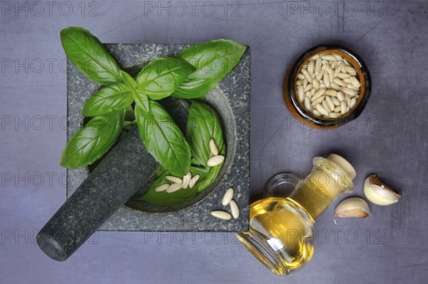 Ingredients for basil pesto, pesto alla genovese