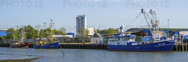 Fishing boats in the cutter harbour, outer harbour, panorama format, Husum, North Frisia, North Sea, Schleswig-Holstein, Germany