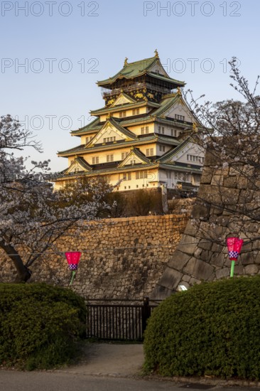 Osaka Castle, at dusk, cherry trees in bloom, Chuo-ku, Osaka, Osaka Prefecture, Japan