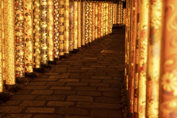 Kimono forest, illuminated, art, Ukyo-ku, Kyoto, Kyoto Prefecture, Japan