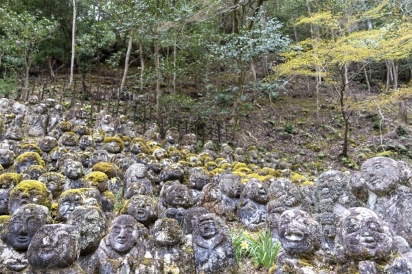 Rakan statues at Otagi Nenbutsuji Temple, stone, moss-covered, forest in the background, Ukyo-ku, Kyoto, Kyoto Prefecture, Japan