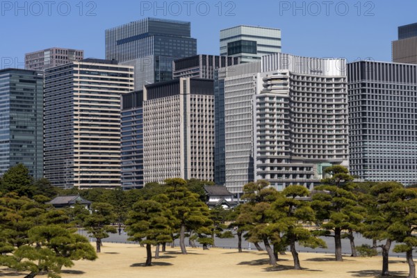 View of trees and skyscrapers, Kokyogaien National Garden, Chiyoda, Tokyo Prefecture, Tokyo, Japan
