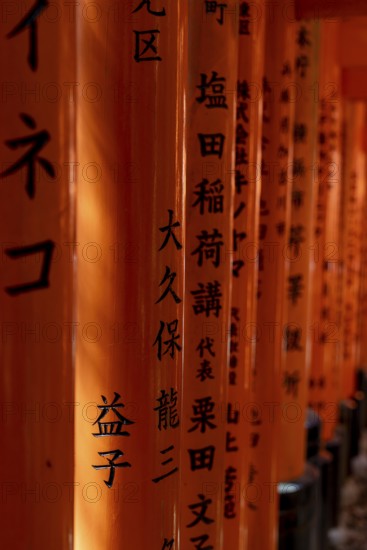 Inscriptions on columns of torii arches, Fushimi-ku, Kyoto, Kyoto Prefecture, Japan