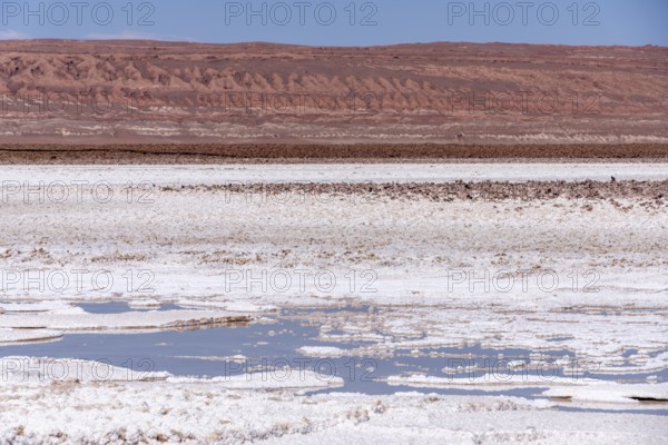 Coloured salt formations at the Lagunas Escondidas de Baltinache, Atacama Desert, Toconao, San Pedro de Atacama, Región de Antofagasta, Chile