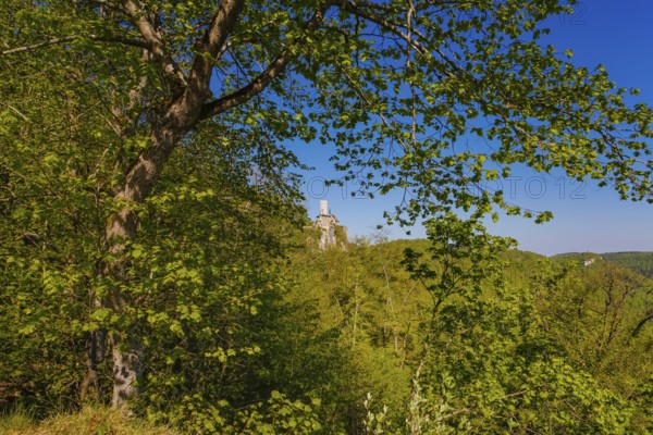 Lichtenstein Castle, fairytale castle of Württemberg, romantic fairytale castle on the eaves of the Swabian Alb, historicism, architecture, new building 1840-1842, according to plans by architect Carl Alexander Heideloff, 19th century, Honau, municipality of Lichtenstein, Baden-Württemberg, Germany
