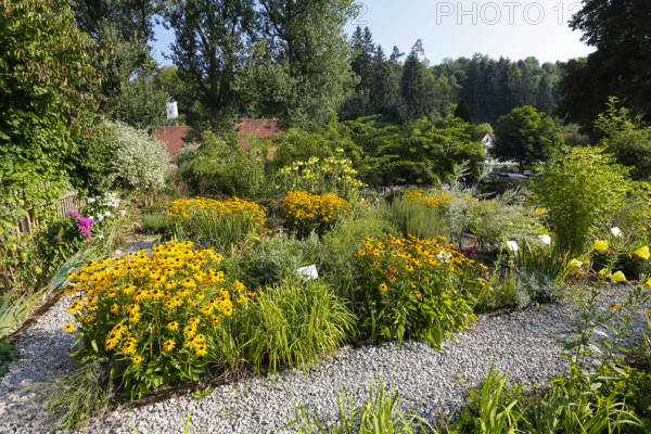 Herb garden near the stud farm museum and the Lauterquelle spring, various plants, perennials, Offenhausen, municipality of Gomadingen, Swabian Alb, Baden-Württemberg, Germany
