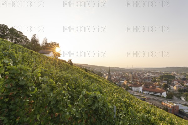 Sunrise over the vineyards of Esslingen am Neckar
