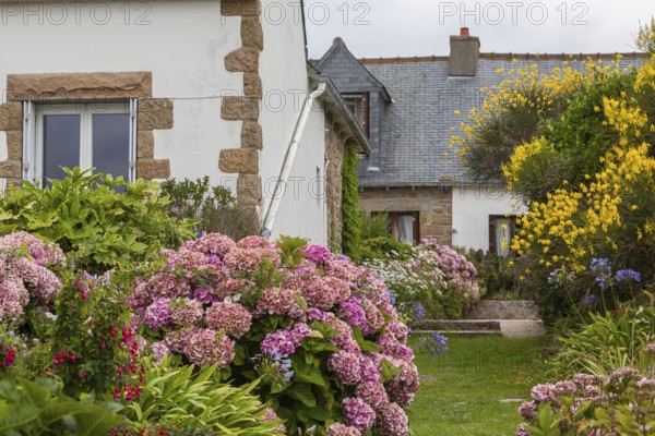 Residential house with lush planting, Ile de Bréhat, Département Côtes-d'Armor, Brittany, France