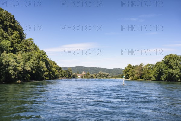 View over the Rhine, High Rhine surrounded by forests, Canton Thurgau, Switzerland