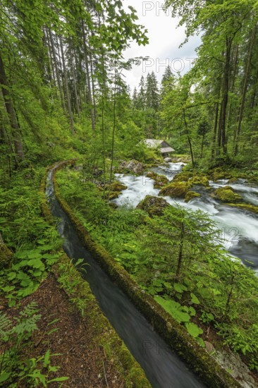 Golling watermill from above at the waterfall with the water pipe. Traditional mill in an alpine landscape, Golling an der Salzach, Austria